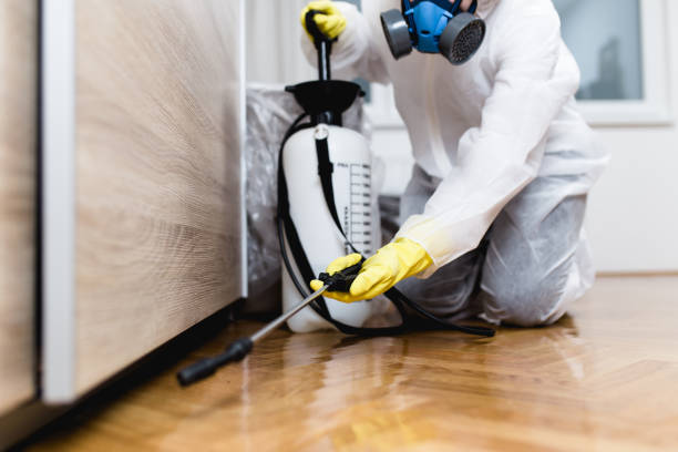 Best Pest Removal Services  in Boswell, PA
