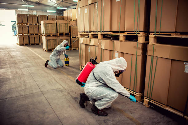 Wildlife Control Services in Boswell, PA