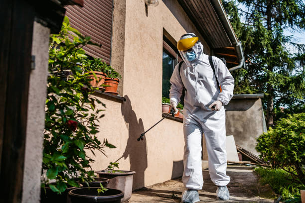 Best Wildlife Control Services  in Boswell, PA